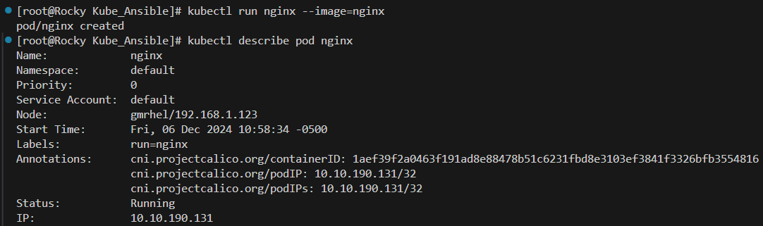 describe_nginx